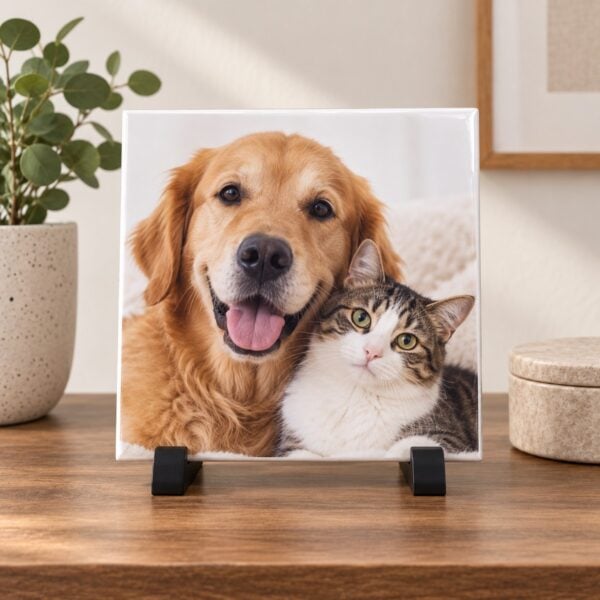 Azulejo Personalizado De 20 Cm Com A Foto De Um Cachorro E Um Gato, No Suporte Preto