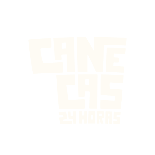//